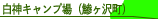 �A�N�A�O���[���r���b�WANMON
